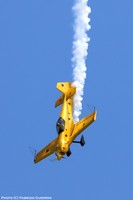 IMG_2647txt.jpg