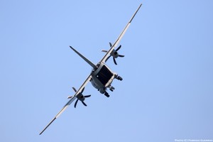 IMG_3683txt.jpg
