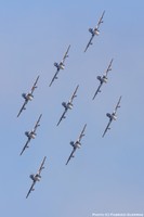 IMG_4194txt.jpg