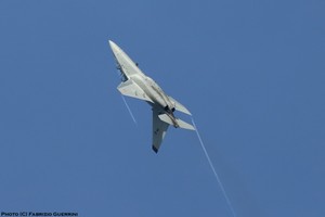 IMG_3452txt.jpg