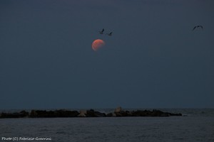 07-08-2017 Partial  Lunar Eclipse (5).jpg