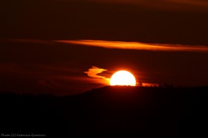 IMG_4163-1280.jpg