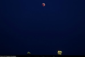 IMG_6551txt-hor copy.jpg