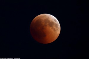 IMG_6552txt copy.jpg
