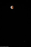 IMG_6579txt copy.jpg