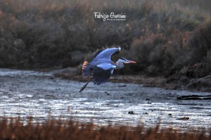 3K0A0220-crop-txt_tonemapped.jpg