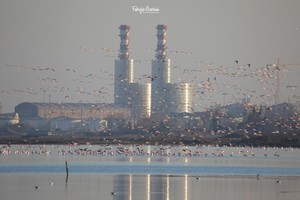 3K0A1570crop-txt.jpg