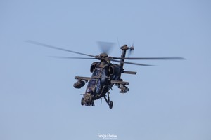 3K0A6821-1 copia.jpg