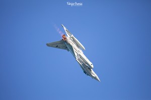 3K0A7053-2a copia.jpg