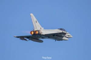 3K0A7082-2a copia.jpg
