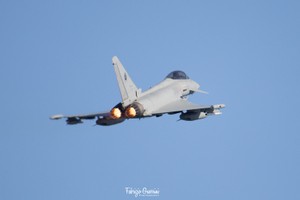 3K0A7092-1 copia.jpg
