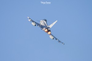3K0A7136-2a-ab copia.jpg