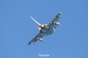 3K0A7155-2a copia.jpg