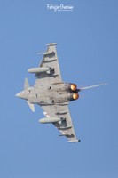 3K0A7184-2a copia.jpg