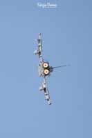 3K0A7191-1 copia.jpg