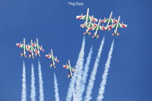 3K0A9624-1 copia.jpg