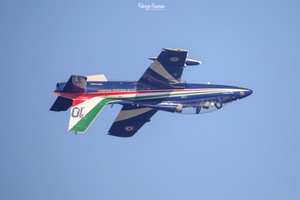 3K0A9687-1 copia.jpg