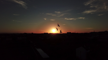 vlcsnap-2018-09-26-19h35m16s359.png