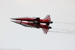 IMG_3994crop.jpg