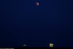 IMG_6551txt-hor copy.jpg