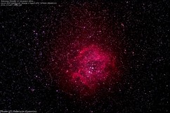 27-12-2016 IMG_5292-5313 (Rosetta)V3-1280.jpg