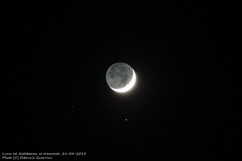 IMG_3025 copy.jpg