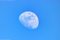 IMG_3833_7_9_Painterly 5-txt1280.jpg