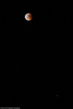 IMG_6579txt copy.jpg