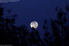 IMG_7886txt1280.jpg