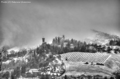 IMG_0734_B&W Artistic-txt.jpg